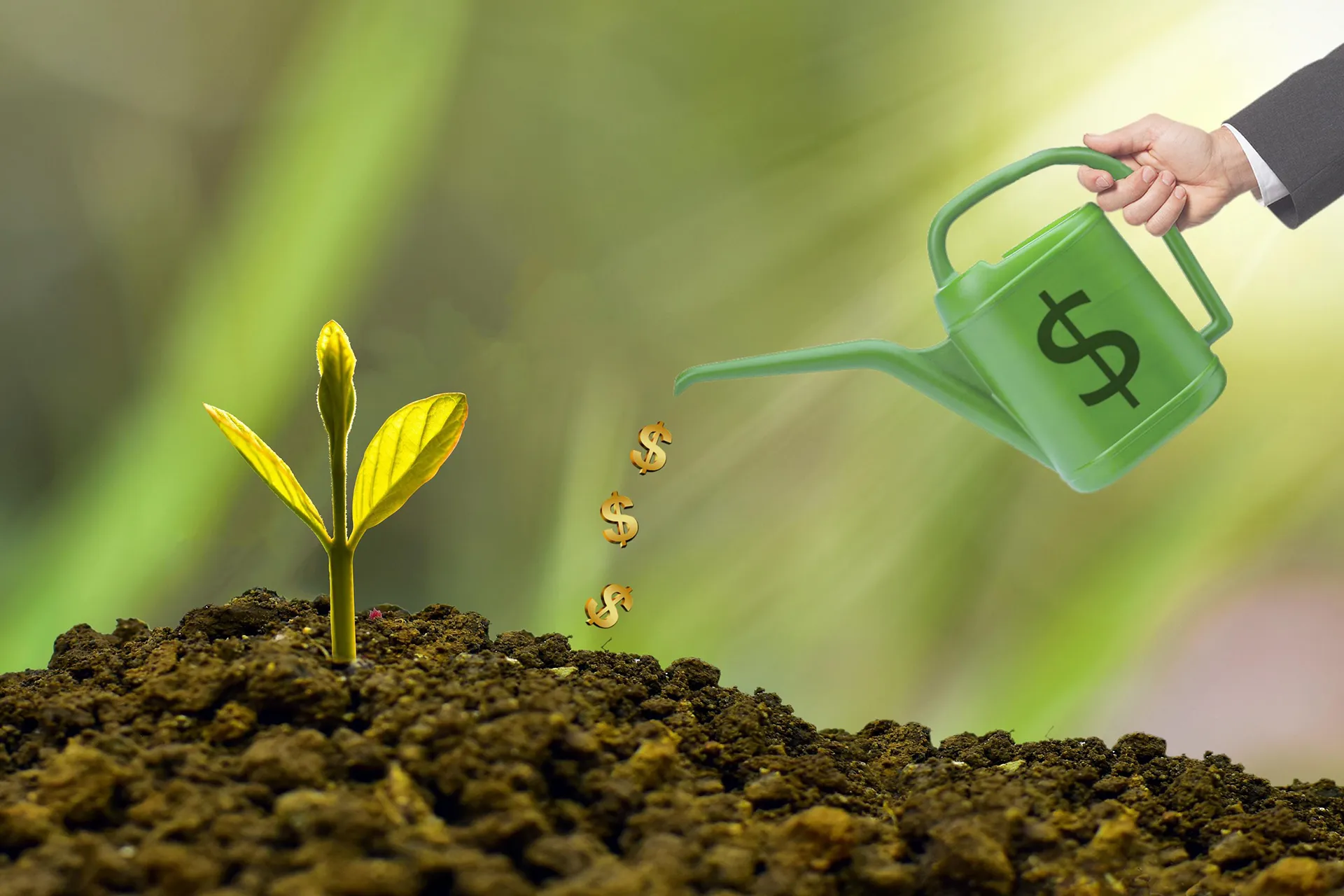 A young plant sprouting from soil being watered with a green watering can marked with a dollar sign, symbolizing medical practice revenue cycle management and financial growth.